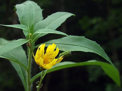 photo1