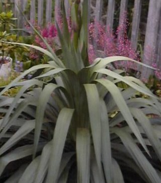 photo1