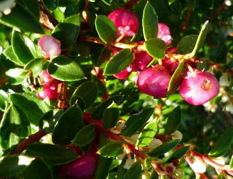 photo1