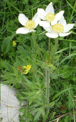 photo2