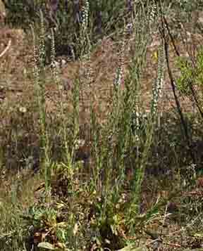photo2