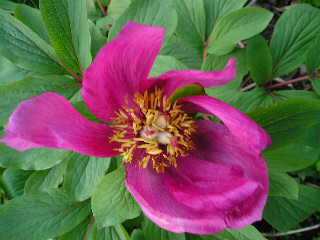 photo1