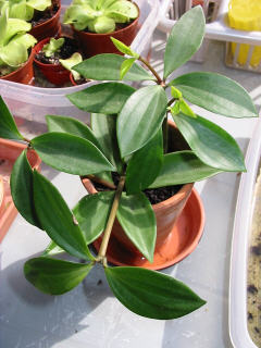 photo1