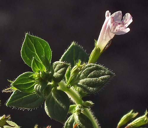 photo1