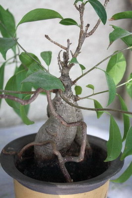 photo1