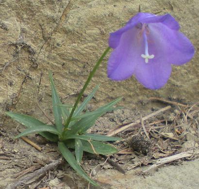 photo1