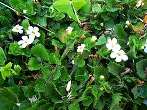 photo2