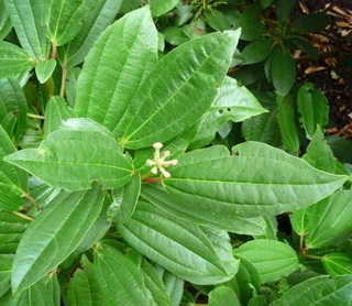 photo1