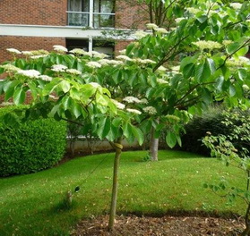 photo2