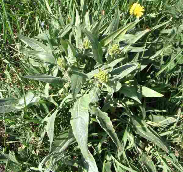 photo1