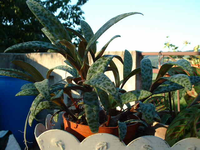photo1