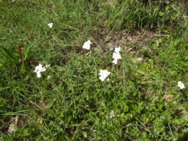 photo1