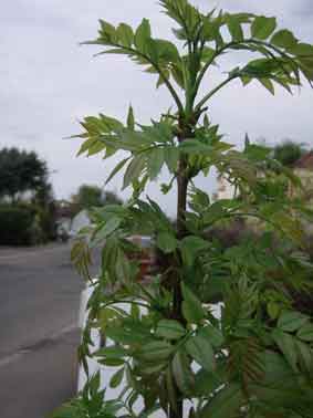 photo1