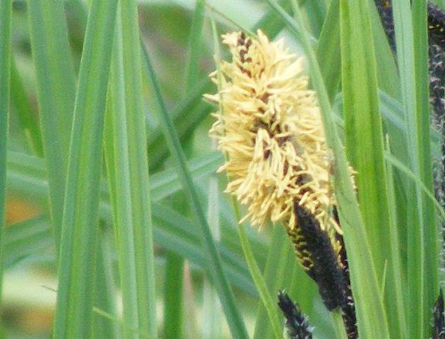 photo1