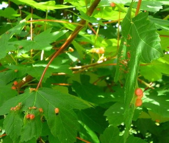 photo2