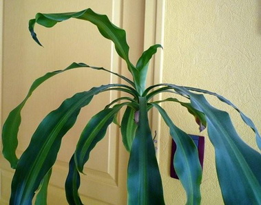 photo2