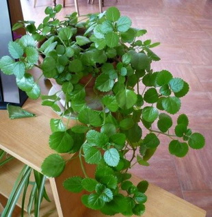photo2