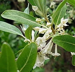 photo1