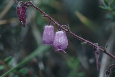 photo1