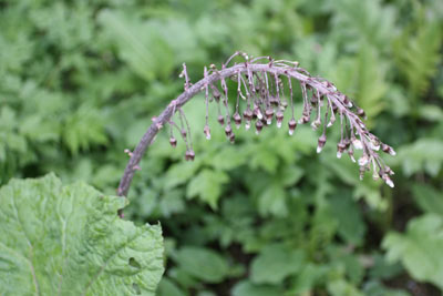 photo1