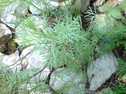 photo2