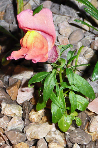photo2