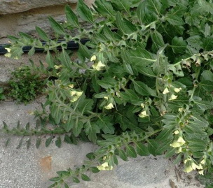 photo2