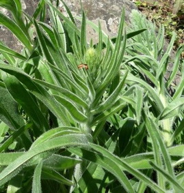 photo2