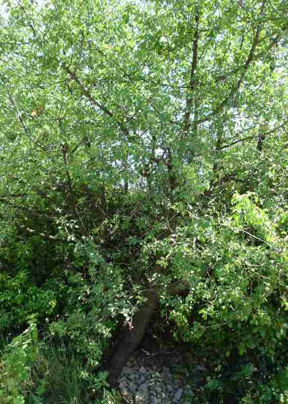 photo1