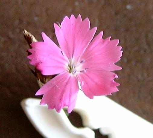 photo2