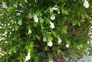 photo2