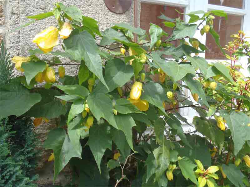 photo1