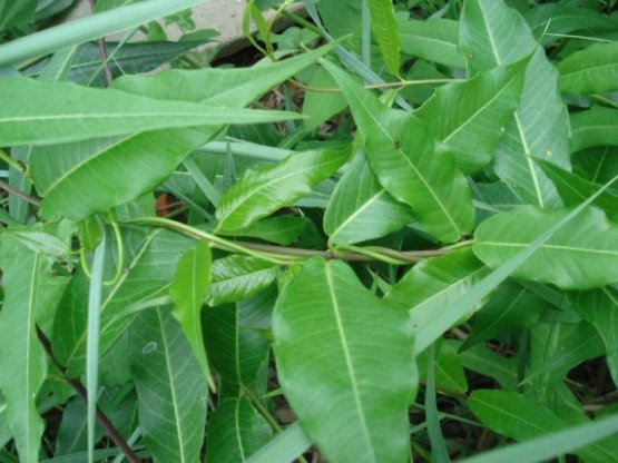 photo2