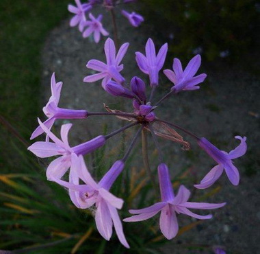 photo2