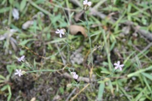 photo2