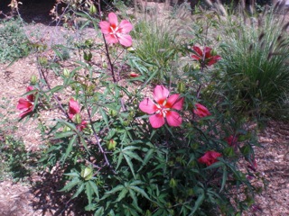 photo1