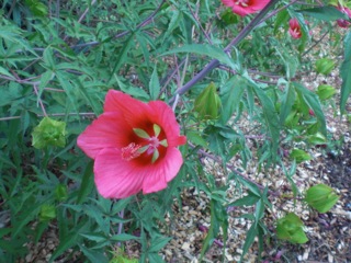 photo2