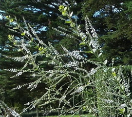 photo1