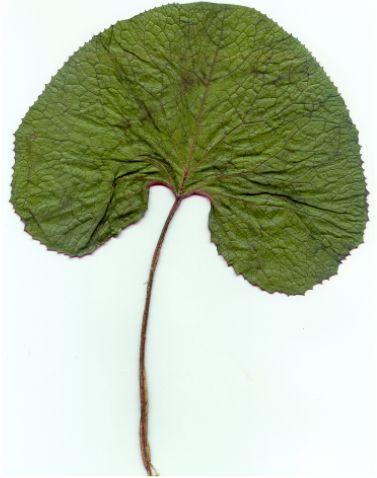 photo1