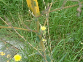 photo2