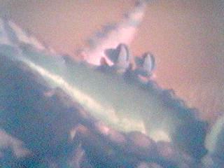 photo2