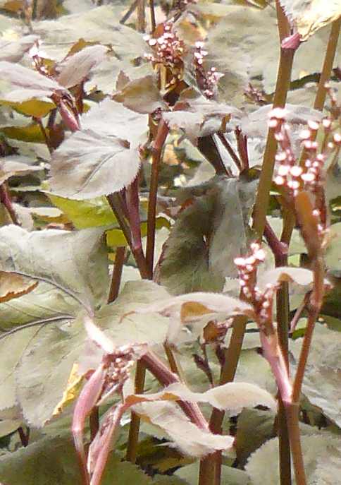 photo2