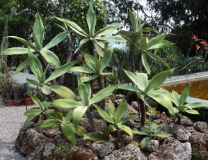 photo1