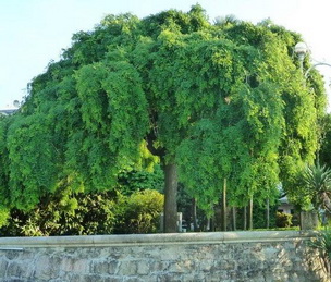 photo2