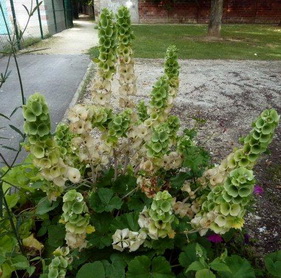 photo2