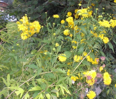 photo2