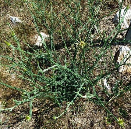 photo2
