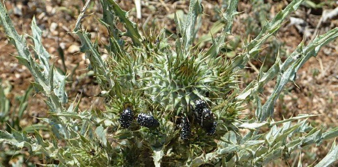 photo2