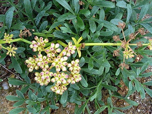 photo1