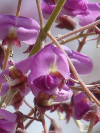 photo2